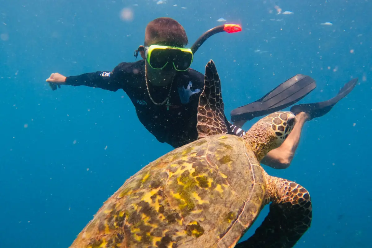 Snorkel y buceo en Isla del Caño - Image 5