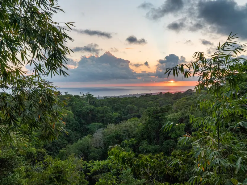 Campus de Osa Conservation en la Península de Osa