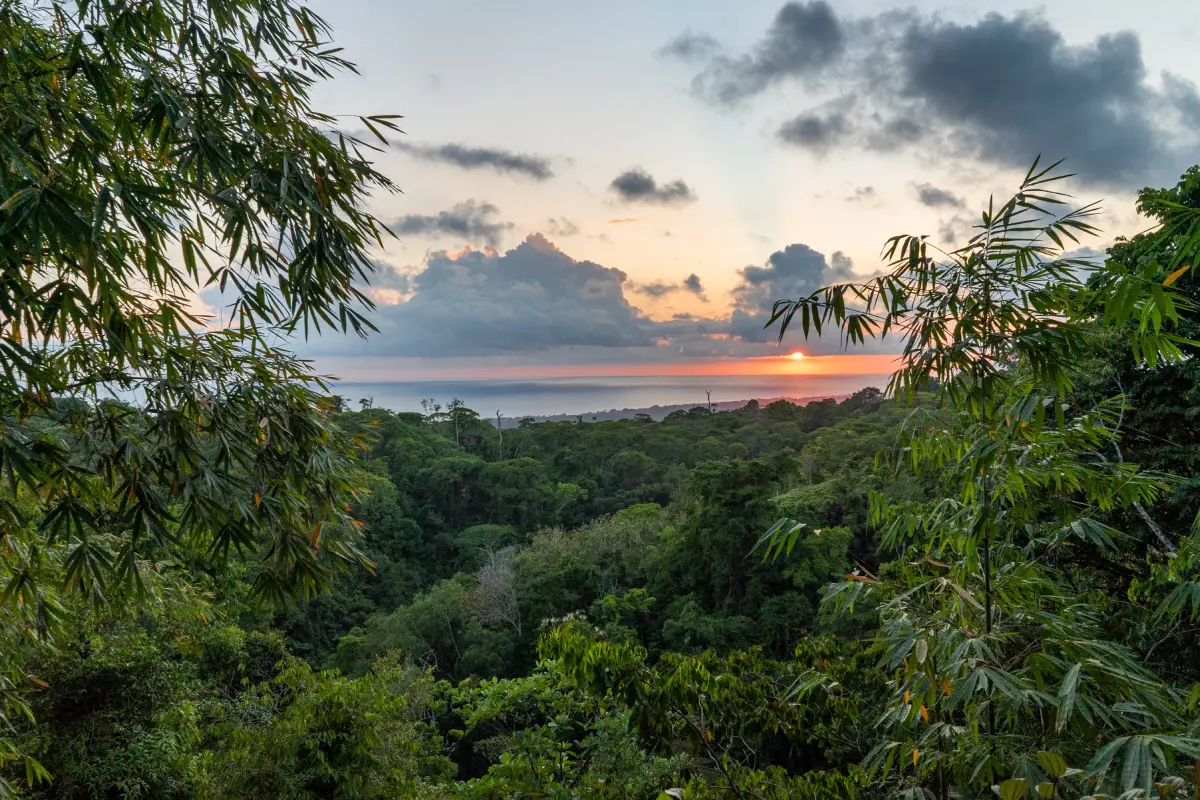Experiencia de un día y apoyo a los esfuerzos de conservación en Osa - Image 1