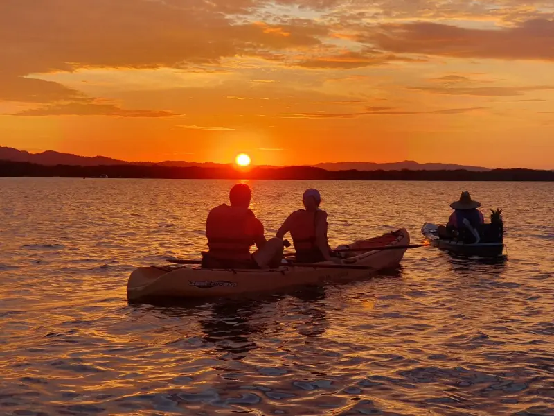Kayakistas explorando manglares durante el atardecer en Golfo Dulce